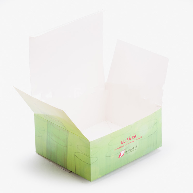 Light Green Clinical Box
